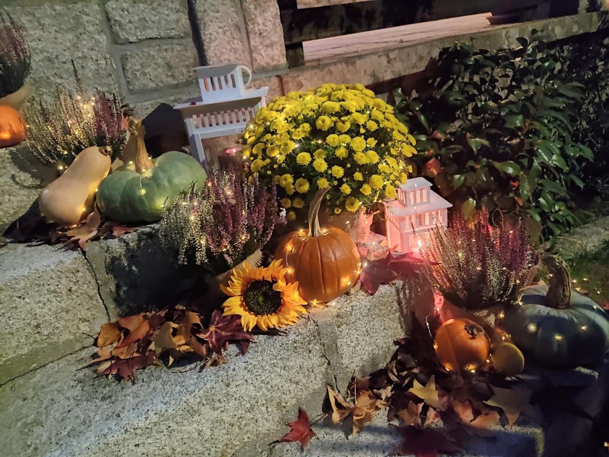 Posada Rural La Flor Las Navas del Marqués Dış mekan fotoğraf