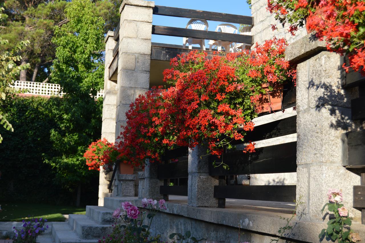 Posada Rural La Flor Las Navas del Marqués Dış mekan fotoğraf